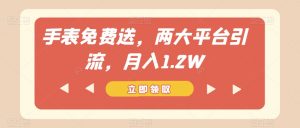 手表免费送,两大平台引流,月入1.2W【揭秘】-铭创资源库