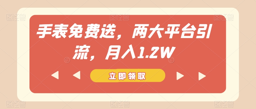手表免费送，两大平台引流，月入1.2W【揭秘】-铭创资源库