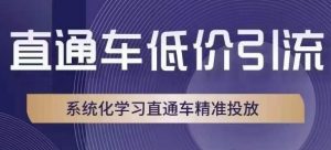 直通车低价引流课，系统化学习直通车精准投放-铭创资源库