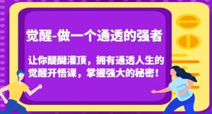 觉醒-做一个通透的强者,让你醍醐灌顶,拥有通透人生的觉醒开悟课,掌握强大的秘密!-铭创资源库