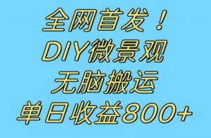 全网首发冷门赛道!DIY微景观,无脑搬运视频,日收益800+【揭秘】-铭创资源库