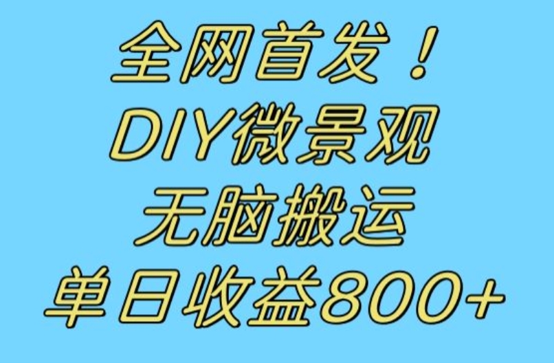 全网首发冷门赛道！DIY微景观，无脑搬运视频，日收益800+【揭秘】-铭创资源库