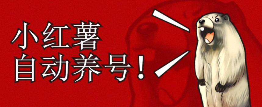 小红书养号秘籍，如何自动涨粉清晰系统标签打造高权重账号【揭秘】-铭创资源库