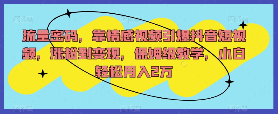 流量密码，靠情感视频引爆抖音短视频，涨粉到变现，保姆级教学，小白轻松月入2万【揭秘】-铭创资源库
