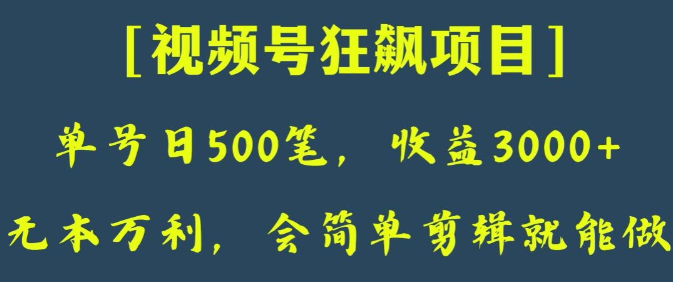 日收款500笔，纯利润3000+，视频号狂飙项目，会简单剪辑就能做【揭秘】-铭创资源库