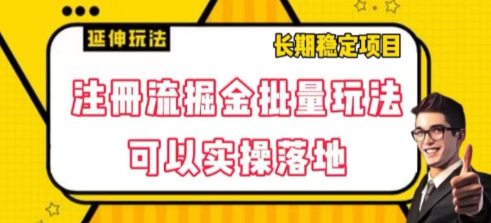 注册流掘金批量玩法，可以实操落地【揭秘】-铭创资源库