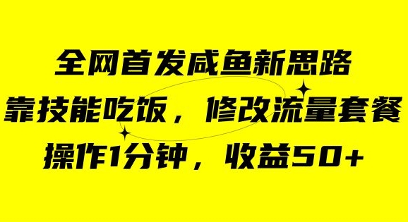 咸鱼冷门新玩法，靠“技能吃饭”，修改流量套餐，操作1分钟，收益50【揭秘】-铭创资源库