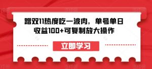 蹭双11热度吃一波肉,单号单日收益100+可复制放大操作【揭秘】-铭创资源库