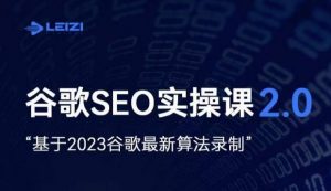 雷子·谷歌SEO 2.0实战课,独立站询盘自由必备,基于2023谷歌最新算法录制-铭创资源库
