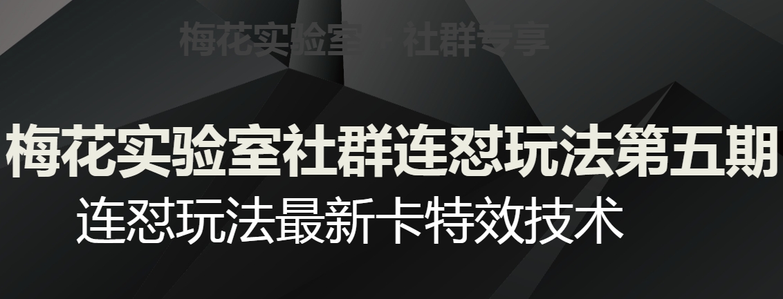 梅花实验室社群连怼玩法第五期，视频号连怼玩法最新卡特效技术-铭创资源库