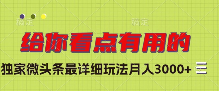 独家微头条最详细玩法，月入3000+【揭秘】-铭创资源库
