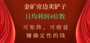 金矿旁边卖铲子,赚确定性的钱,可矩阵,可收徒,日均利润4位数【揭秘】-铭创资源库