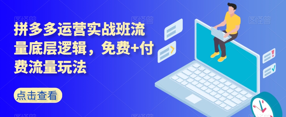 拼多多运营实战班流量底层逻辑，免费+付费流量玩法-铭创资源库