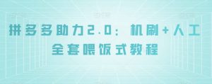 拼多多助力2.0：机刷+人工全套喂饭式教程【揭秘】-铭创资源库