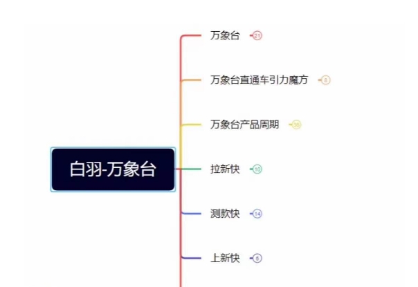 白羽·直引万搜索全篇，从0-1，多个类目实操经验总结付费-铭创资源库