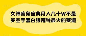 女神瘦身宝典月入几十W不是梦空手套白狼赚钱最火的赛道【揭秘】-铭创资源库