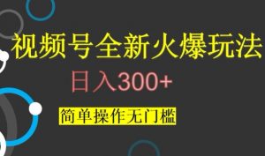 视频号最新爆火玩法，日入300+，简单操作无门槛【揭秘】-铭创资源库