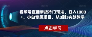 视频号直播带货冷门玩法，日入1000+，小白专属项目，从0到1实战教学【揭秘】-铭创资源库
