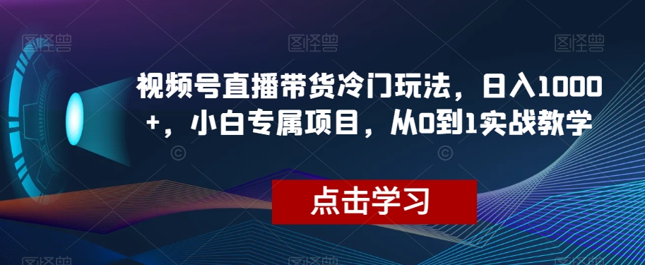 视频号直播带货冷门玩法，日入1000+，小白专属项目，从0到1实战教学【揭秘】-铭创资源库