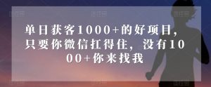 单日获客1000+的好项目,只要你微信扛得住,没有1000+你来找我【揭秘】-铭创资源库