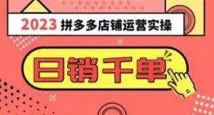 2023拼多多运营实操,每天30分钟日销1000+,爆款选品技巧大全(10节课)-铭创资源库