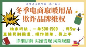 利用电商平台冬季销售取暖用品欺诈行为合理制裁店铺,单日入900+【仅揭秘】-铭创资源库
