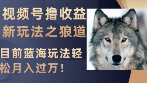 视频号撸收益新玩法之狼道,目前蓝海玩法,轻松月入过万【揭秘】-铭创资源库