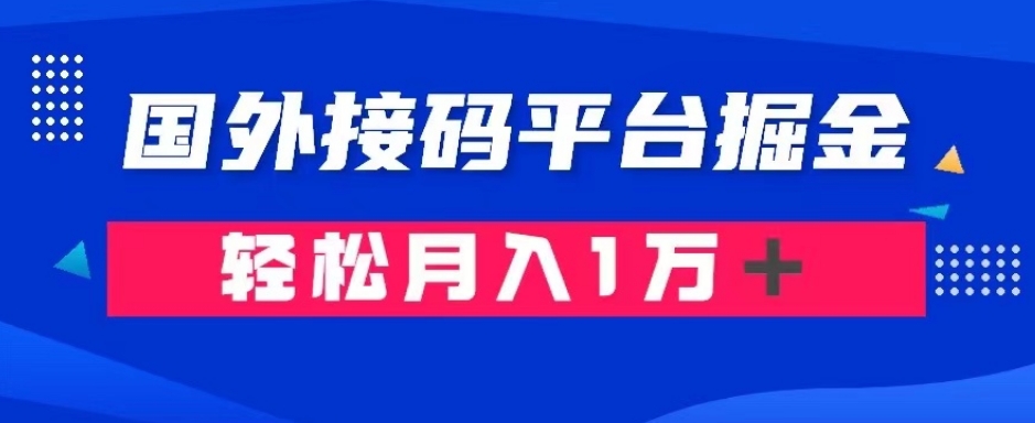 通过国外接码平台掘金：成本1.3，利润10＋，轻松月入1万＋【揭秘】-铭创资源库