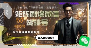 矩阵刷爆微信蝴蝶号创作者分成计划收益的新玩法，日入2000+【揭秘】-铭创资源库