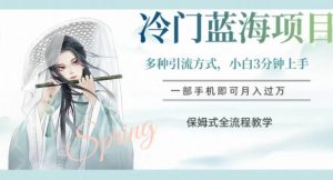 冷门蓝海项目，操作简单，小白3分钟上手，多种引流方式，保姆式全流程教学【揭秘】-铭创资源库