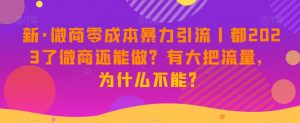 新·微商零成本暴力引流丨都2023了微商还能做?有大把流量,为什么不能?-铭创资源库