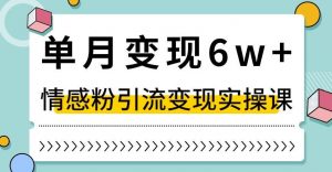 单月变现6W+,抖音情感粉引流变现实操课,小白可做,轻松上手,独家赛道【揭秘】-铭创资源库