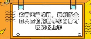 卖莆田篮球鞋，暴利掘金日入四位数新手小白都可以轻松上手【揭秘】-铭创资源库