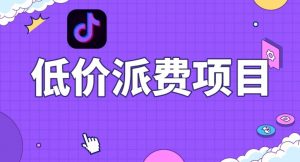 抖音低价派单项目,0门槛,日入1000+很轻松,小白可操作【揭秘】-铭创资源库