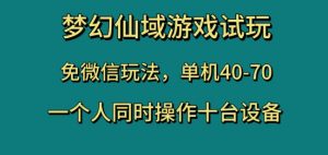 梦幻仙域游戏试玩,免微信玩法,单机40-70,一个人同时操作十台设备【揭秘】-铭创资源库