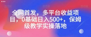 全网首发,多平台收益项目,0基础日入500+,保姆级教学实操落地【揭秘】-铭创资源库