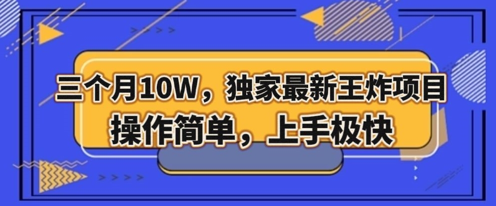 三个月10W，独家最新王炸项目！操作简单，上手极快【揭秘】-铭创资源库
