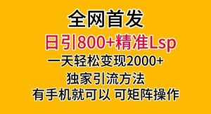 全网首发！日引800+精准老色批，一天变现2000+，独家引流方法，可矩阵操作【揭秘】-铭创资源库