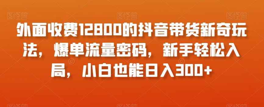 外面收费12800的抖音带货新奇玩法，爆单流量密码，新手轻松入局，小白也能日入300+【揭秘】-铭创资源库