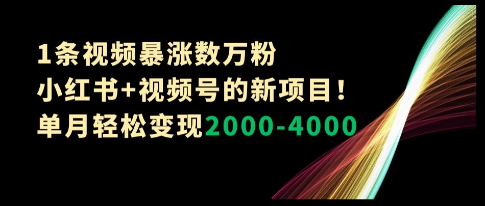 1条视频暴涨数万粉–小红书+视频号的新项目！单月轻松变现2000-4000【揭秘】-铭创资源库