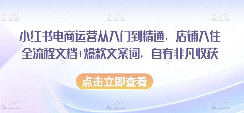 小红书电商运营从入门到精通，店铺入住全流程文档+爆款文案词，自有非凡收获-铭创资源库