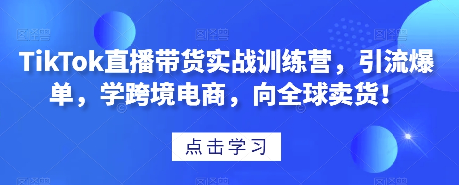 TikTok直播带货实战训练营，引流爆单，学跨境电商，向全球卖货！-铭创资源库