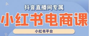 小红书电商高级运营课程,实操教学+案例分析-铭创资源库