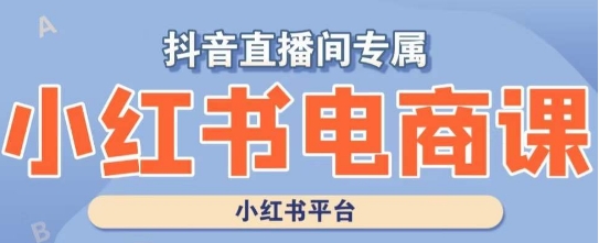 小红书电商高级运营课程，实操教学+案例分析-铭创资源库