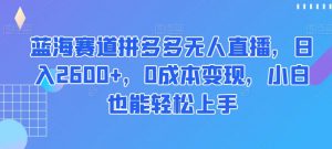 蓝海赛道拼多多无人直播,日入2600+,0成本变现,小白也能轻松上手【揭秘】-铭创资源库