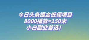 今日头条掘金低保项目，8000播放=150米，小白副业首选【揭秘】-铭创资源库
