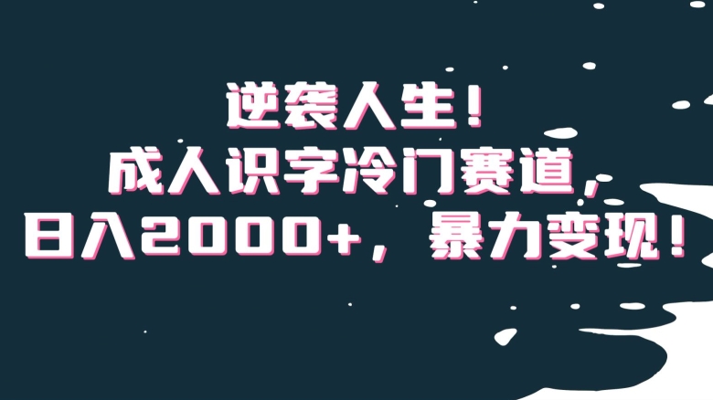 逆袭人生！成人识字冷门赛道，日入2000+，暴力变现！【揭秘】-铭创资源库