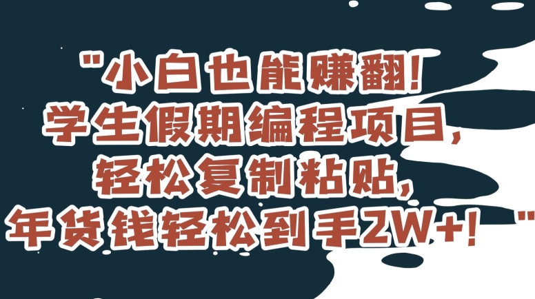 小白也能赚翻！学生假期编程项目，轻松复制粘贴，年货钱轻松到手2W+【揭秘】-铭创资源库