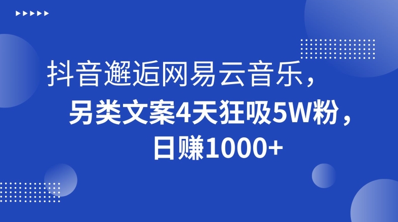 抖音邂逅网易云音乐，另类文案4天狂吸5W粉，日赚1000+【揭秘】-铭创资源库