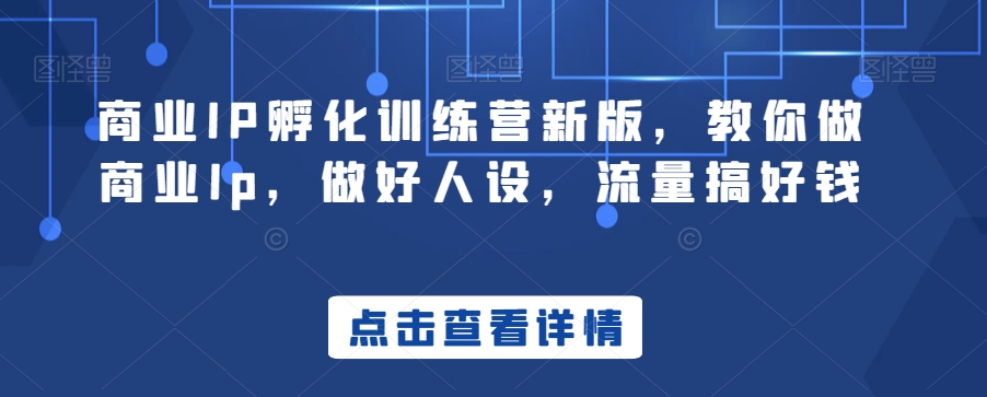 商业IP孵化训练营新版，教你做商业Ip，做好人设，流量搞好钱-铭创资源库